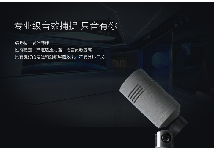 專業(yè)級(jí)音效捕捉，只音有你